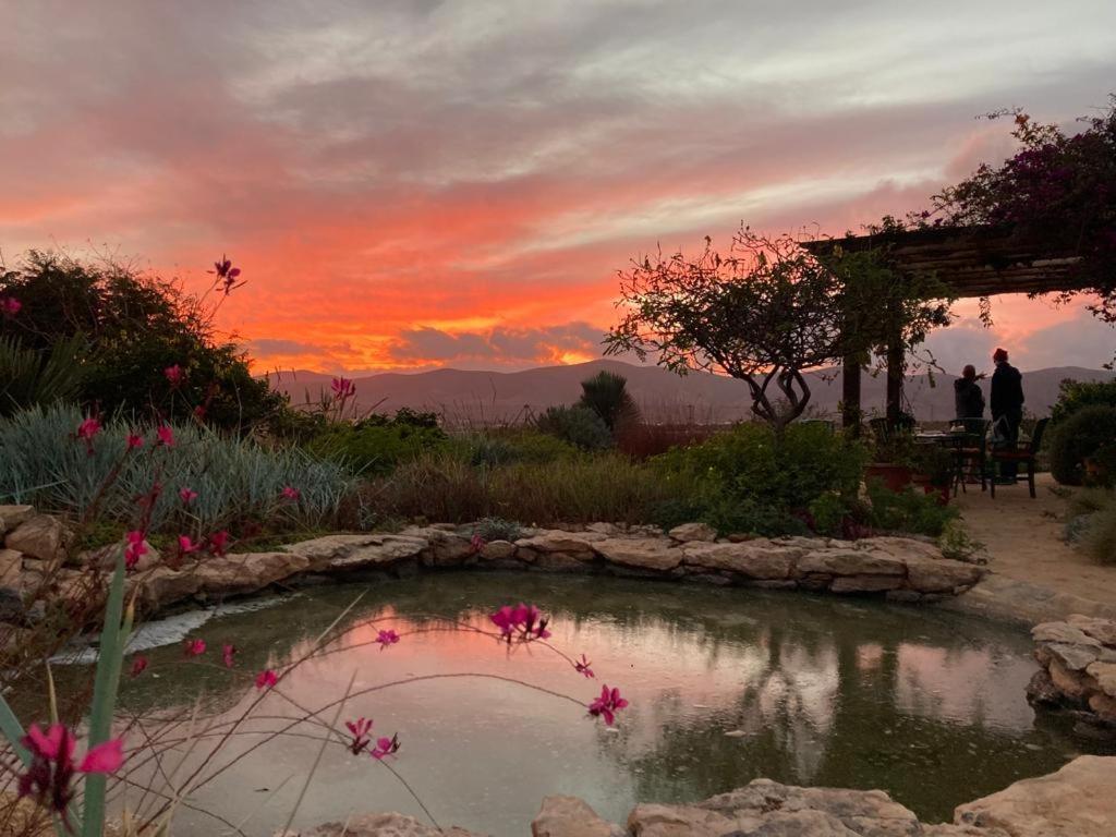 Finca El Molino B&B Fuerteventura Hospinal Exteriör bild