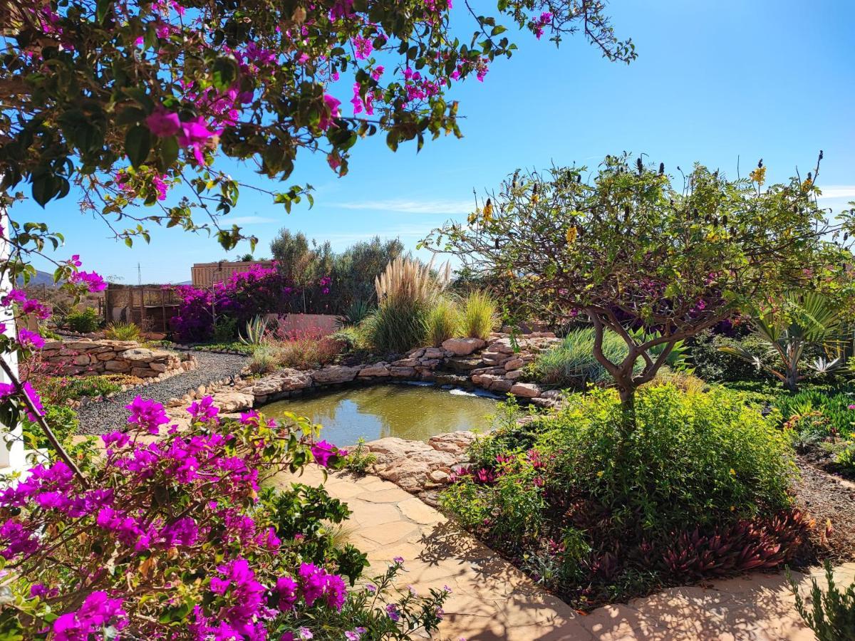 Finca El Molino B&B Fuerteventura Hospinal Exteriör bild