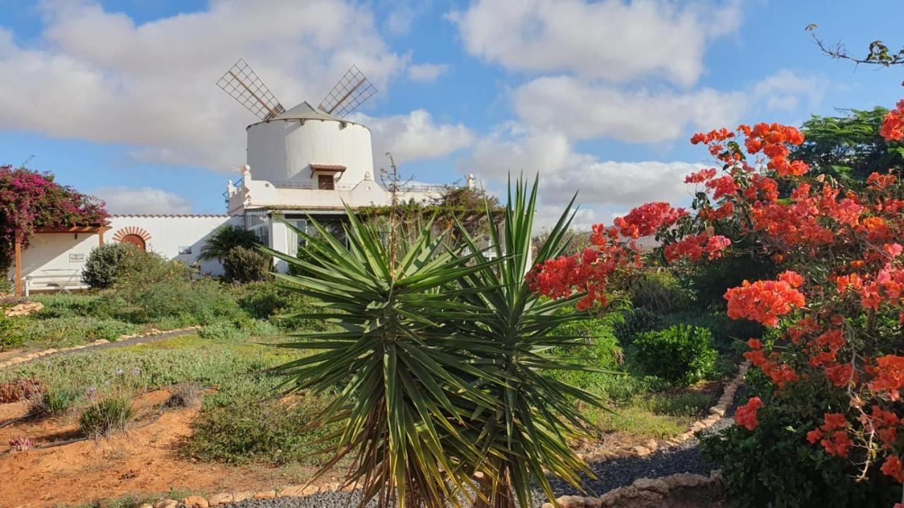 Finca El Molino B&B Fuerteventura Hospinal Exteriör bild